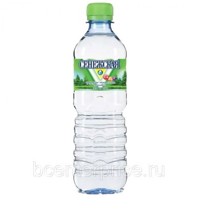 Сенежская Б/Г 0.5л пэт (1*12)